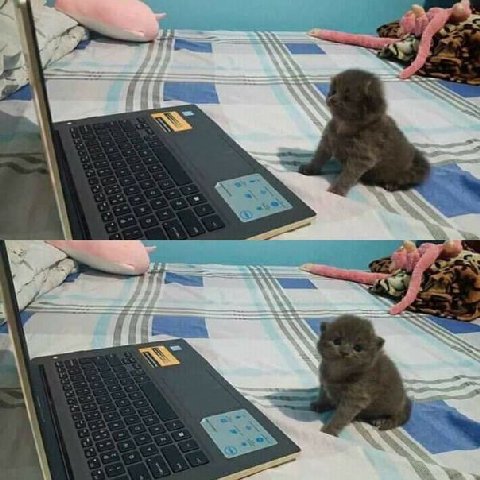 у 2 у