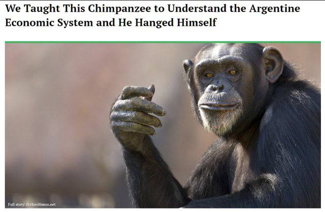 We Taught This Chimpanzee to Understand the Argentine Economic System and He Hanged Himself