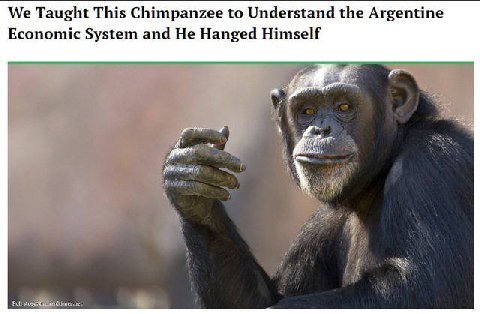 We Taught This Chimpanzee to Understand the Argentine Economic System and He Hanged Himself