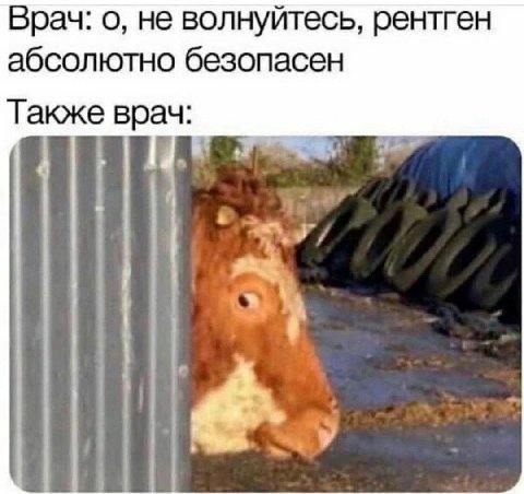 Врач: о, не волнуйтесь, рентген абсолютно безопасен Также врач: У