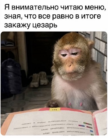Я внимательно читаю меню, зная, что все равно в итоге закажу цезарь я 1