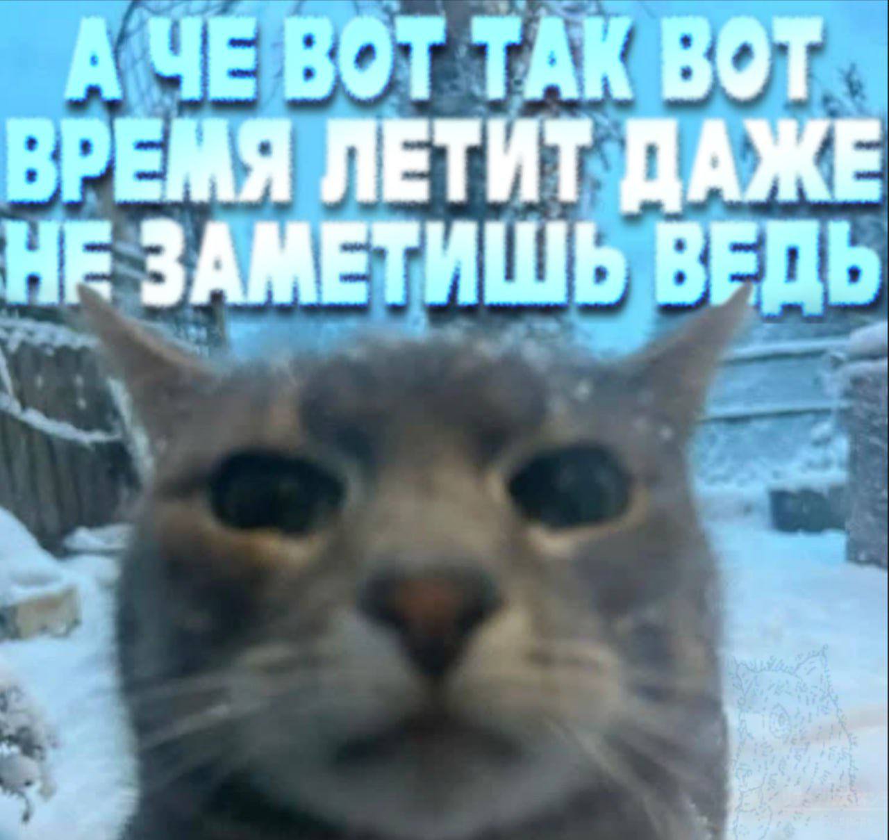 А ЧЕ ВОТ ТАК ВОТ ВРЕМЯ ЛЕТИТ ДАЖЕ НЕ ЗАМЕТИШЬ ВЕДЬ