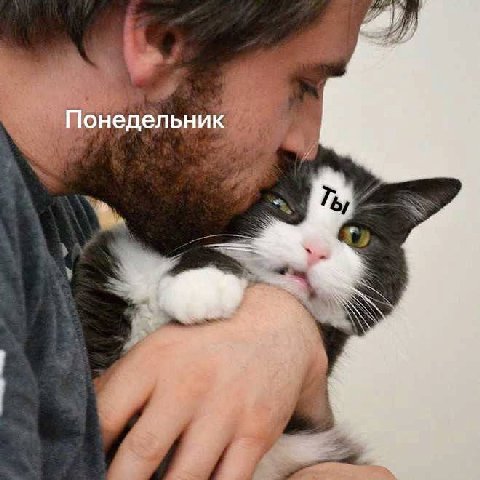 Понедельник