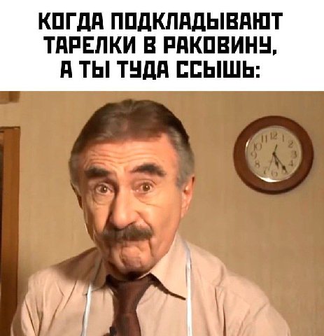 КОГДА ТАРЕЛКИ В РАКОВИНУ, А ТЫ ТУДА ССЫШЬ: