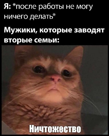 Я: *после работы не могу ничего делать* Мужики, которые заводят вторые семьи: У Ничтожество