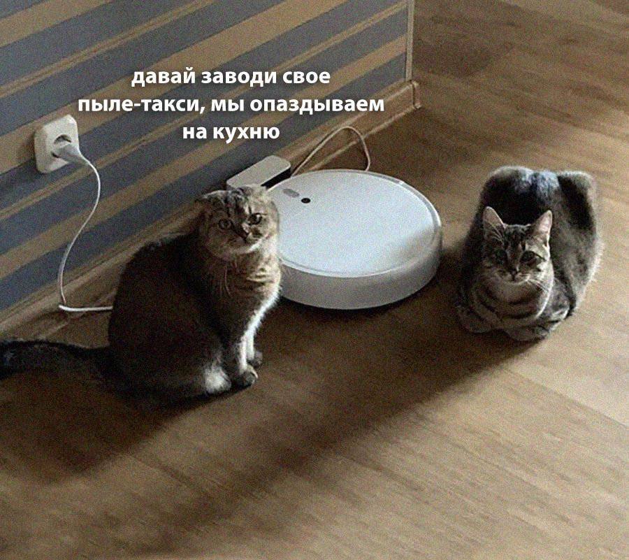 давай заводи свое пыле-такси, мы опаздываем на кухню