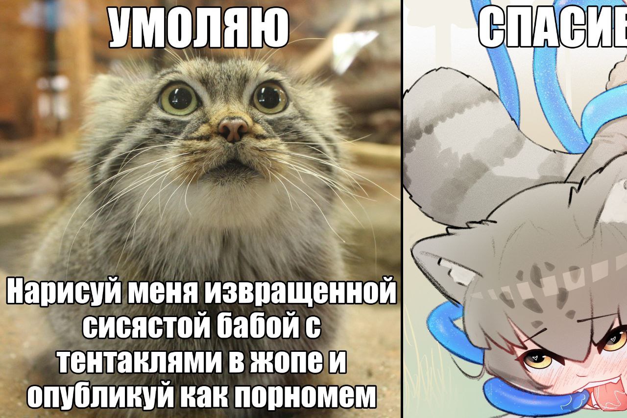УМОЛЯЮ СТД 4 a Нарисуй меня извращенной сисястой бабой с В I. опубликуи как порномем "Be,
