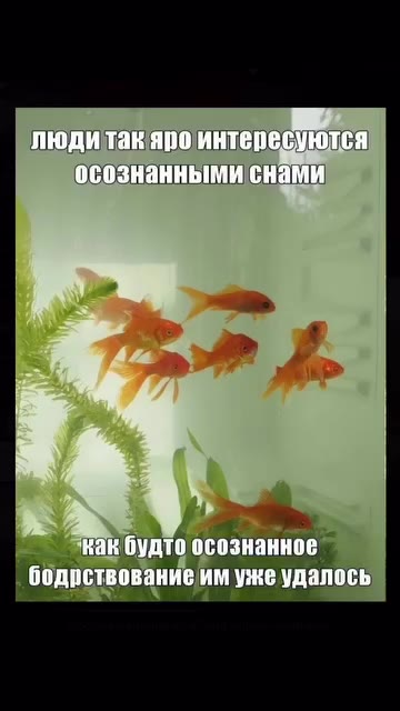 людитакяро интересуются осознанными снами —_ ‘нак будто осознанное | бодоствованиеим ужеудалос люди Tak ANO интересуются | 6 остов aHHE им уже удалос