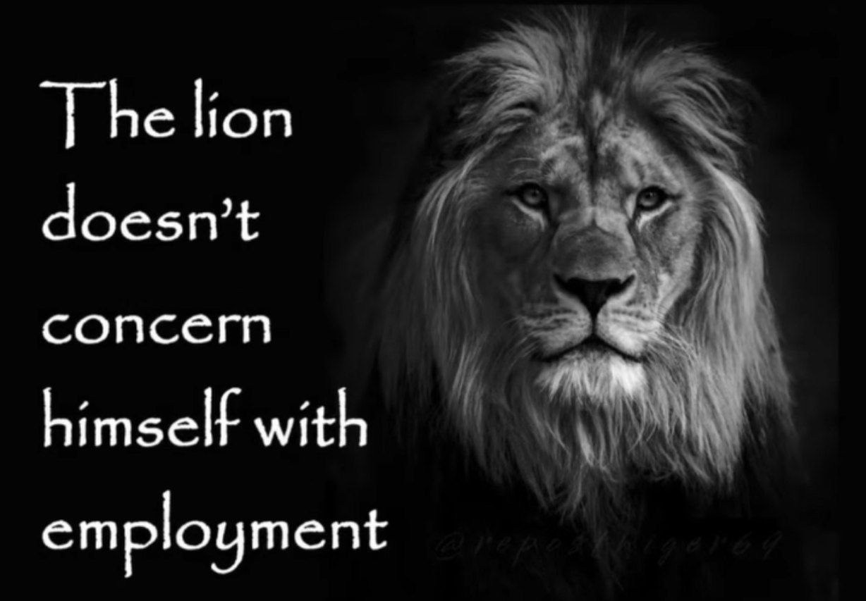 lion doesn't СОПССГП himself with employment