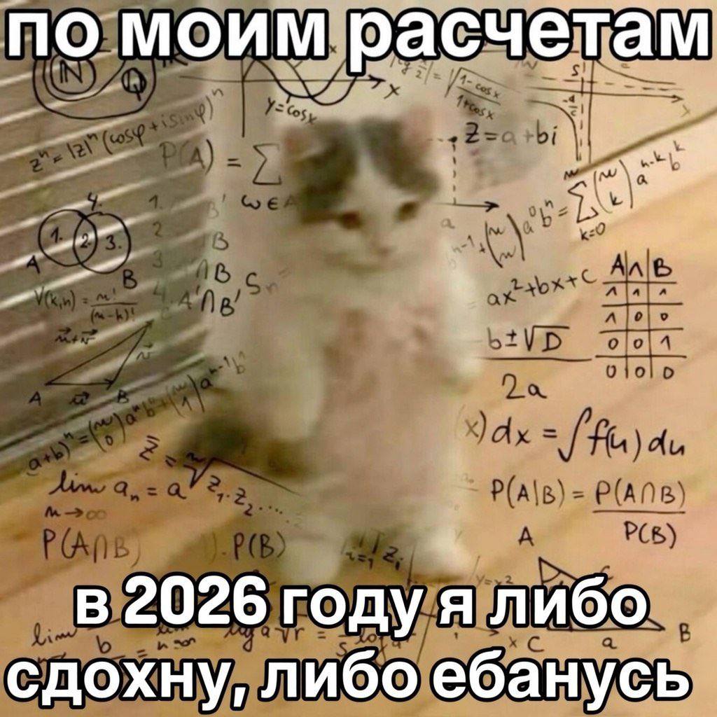 по моим расчетам 2026 году я либо сдохну, либо ебанусь
