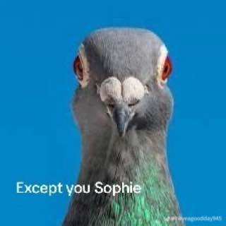 Except you