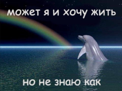 может я и хочу жить но не знаю как