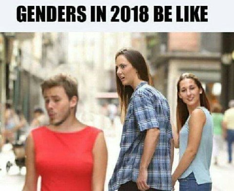 GENDERS IN 2018 BE LIKE