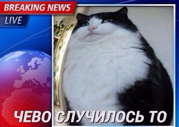 RREAKING ЧЕВО СЛУ ЧИЛОСЬ ТО