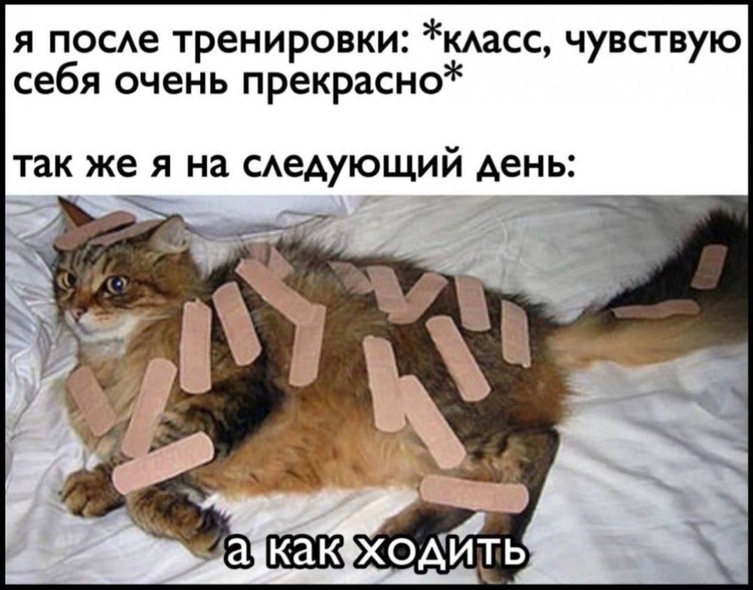 я после тренировки: *класс, чувствую себя очень прекрасно* так же я на следующий день: 4 4 ser 5.