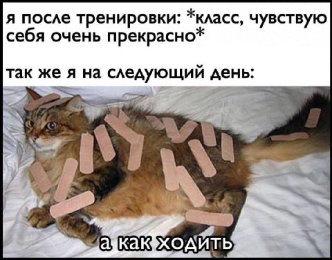 я после тренировки: *класс, чувствую себя очень прекрасно* так же я на следующий день: 4 4 ser 5.