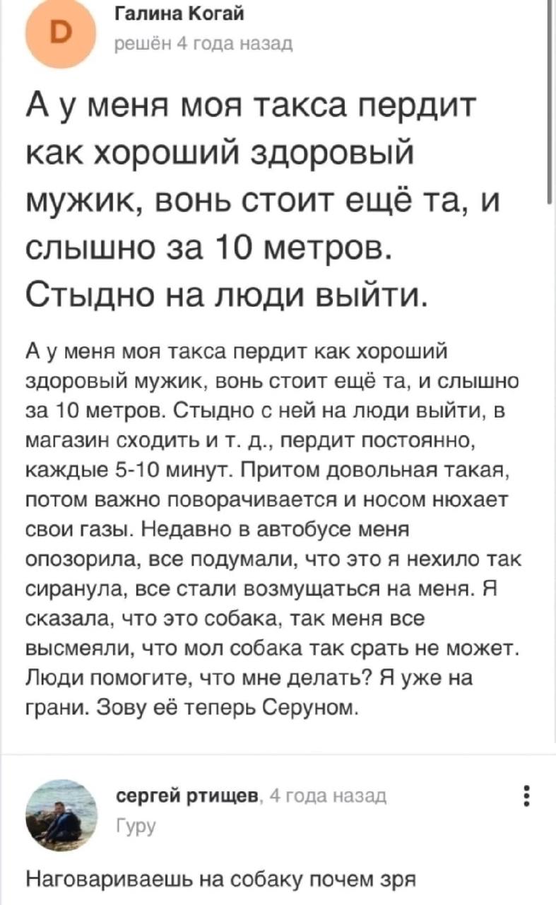 Галина Когай решён 4 года назад А уменя моя такса пердит как хорошии здоровыи мужик, вонь стоит еще и слышно за 10 метров. Стыдно на люди выйти. А уменя моя такса пердит как хороший здоровый мужик, во