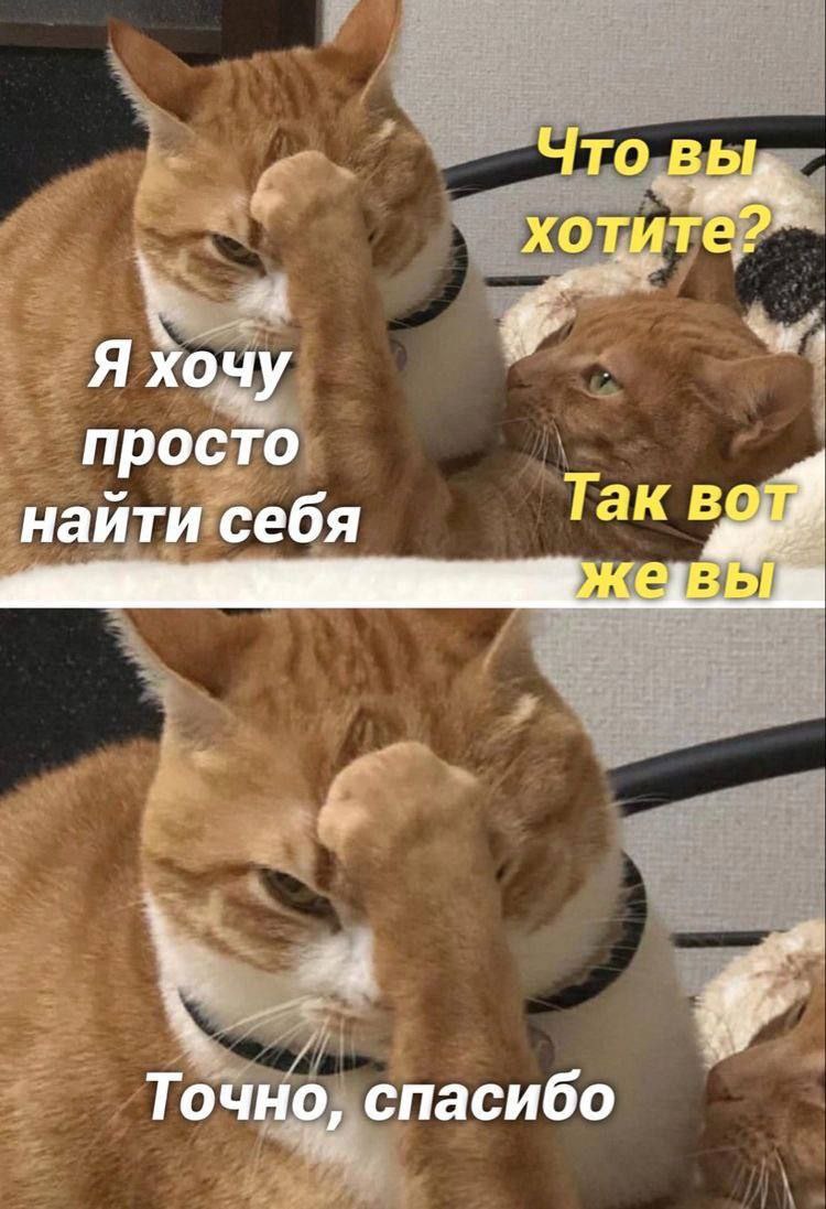 Что вы хотите?° Я хочу просто Так вот, найти себя 74 Точно, спасибо