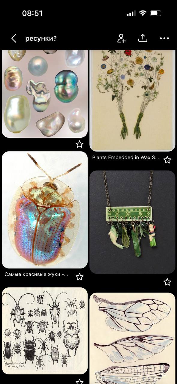 08:51 3 ресунки? а у 4 У) Plants Embedded in Wax 8 i 4 Самые красивые жуки yee В 1 A