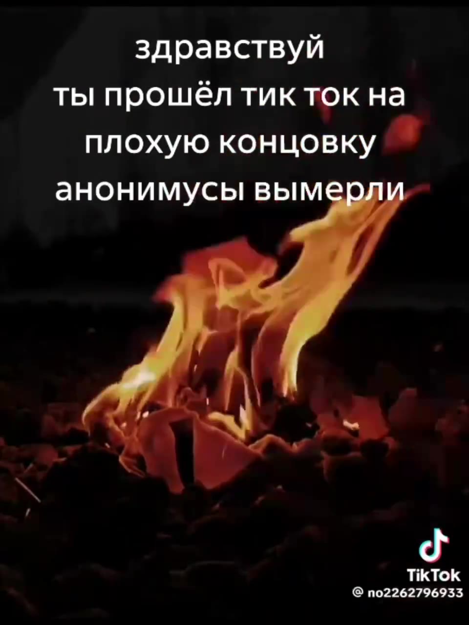здравствуй ты прошёл тикток на плохую концовку анонимусы вымерли IAMVCbI вымерли сы вымерли