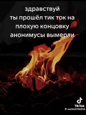 здравствуй ты прошёл тикток на плохую концовку анонимусы вымерли IAMVCbI вымерли сы вымерли