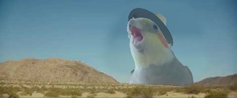 АаааааАаааааААааа