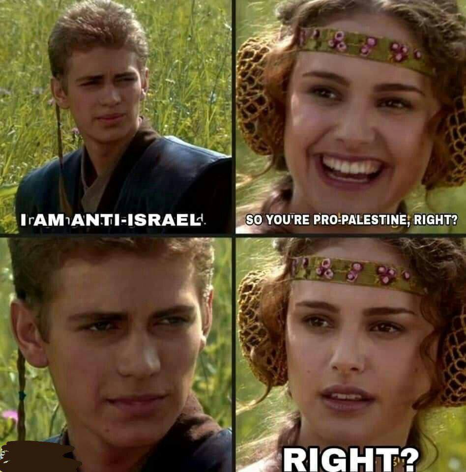 YOU'RE PRO-PALESTINE, RIGHT? RIGHT?