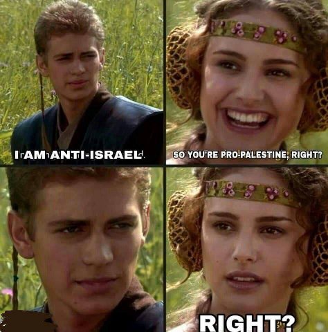 YOU'RE PRO-PALESTINE, RIGHT? RIGHT?