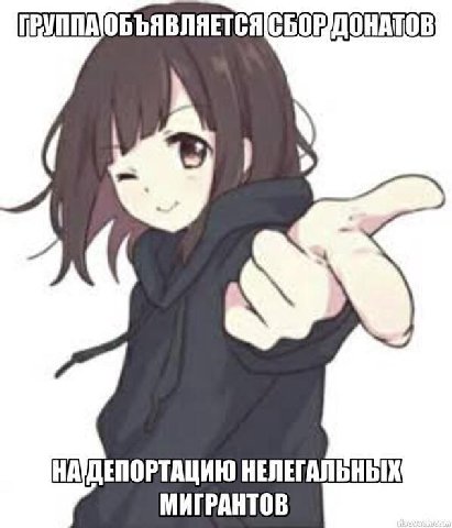 НАУДЕПОРТАЦИЮ НЕЛЕГАЛЬНЫХ МИГРАНТОВ