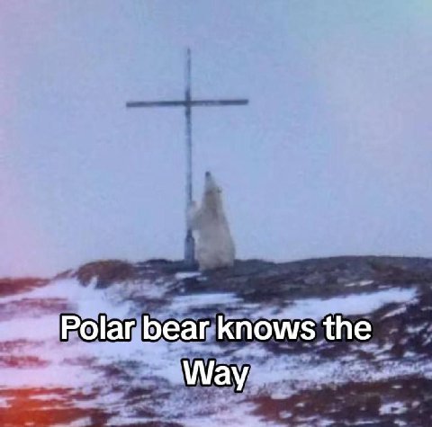 bear knows the Way
