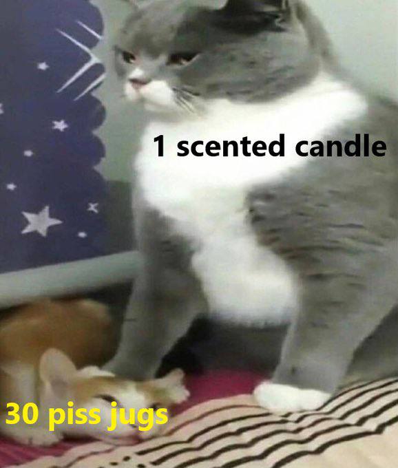 1 scented 30 piss jugs