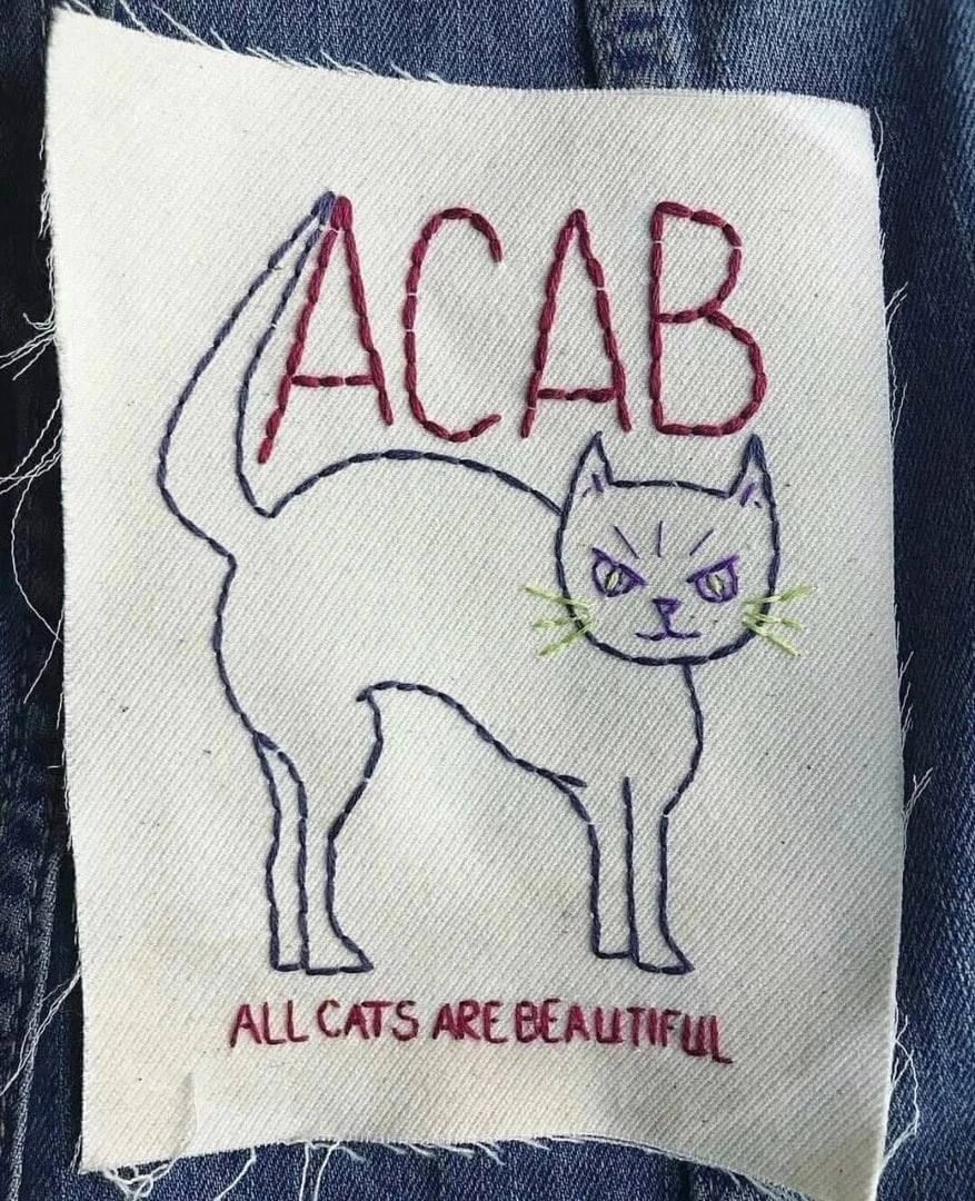 A у i i we и у LLCATS ARE BEA