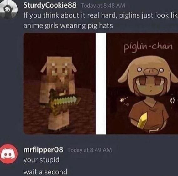 SturdyCookie88 If you think about it real hard, piglins just look lik anime girls wearing pig hats pigun chan у mrflipperO8 2! 8:49 your stupid wait a second