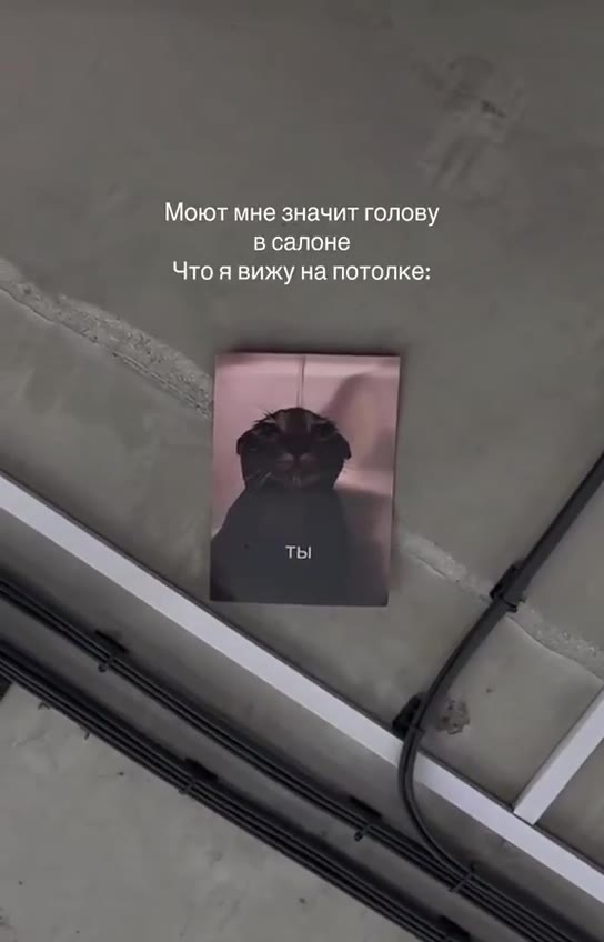 Моют мне значит голову Что я вижу на потолке: