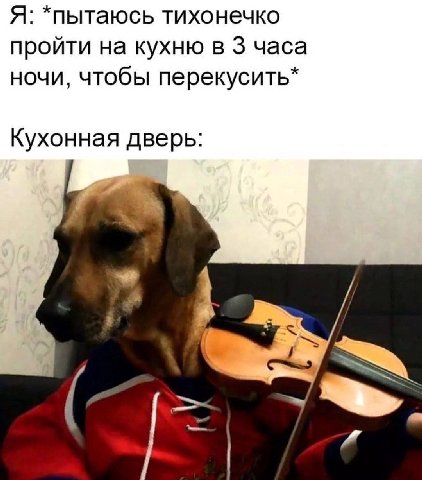 Я: *пытаюсь тихонечко пройти на кухню в 3 часа ночи, чтобы перекусить* Кухонная дверь: