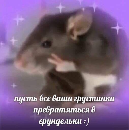 пусть бсе ваиш грустинки пребратяться 6 ерундельки