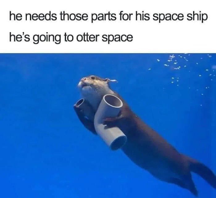 he needs those parts for his space ship he’s going to otter space