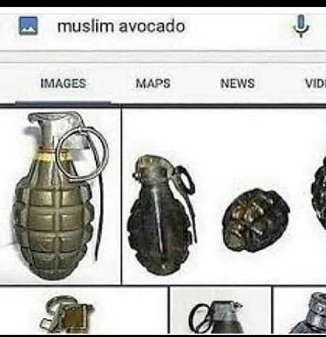 muslim avocado IMAGES MAPS NEWS 7