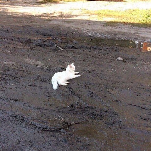 В