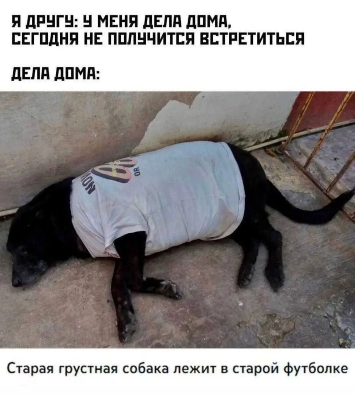Я ДРУГУ: У МЕНЯ ДЕЛА ДОМА, СЕГОДНЯ НЕ ПОЛУЧИТСЯ ВСТРЕТИТЬСЯ ДЕЛА ДОМА: