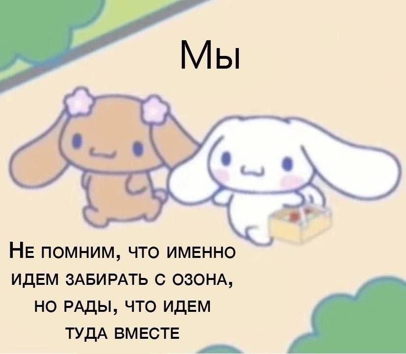 Мы НЕ ПОМНИМ, ЧТО ИМЕННО ИДЕМ ЗАБИРАТЬ С ОЗОНА, НО РАДЫ, ЧТО ИДЕМ ТУДА ВМЕСТЕ