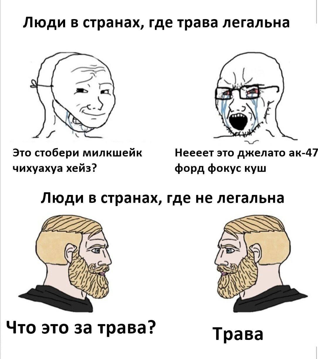 Люди в странах, где трава легальна Это стобери милкшейк Неееет это джелато чихуахуа хейз? форд фокус куш Люди в странах, где не легальна 2 Что это за трава: Трава