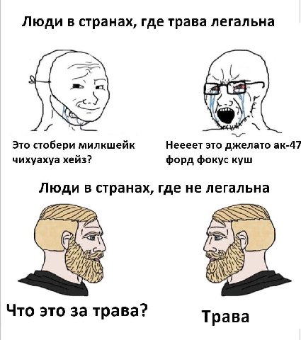 Люди в странах, где трава легальна Это стобери милкшейк Неееет это джелато чихуахуа хейз? форд фокус куш Люди в странах, где не легальна 2 Что это за трава: Трава