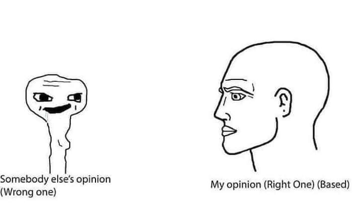 Somebody opinion My opinion (Right One) (Based) (Wrong one)
