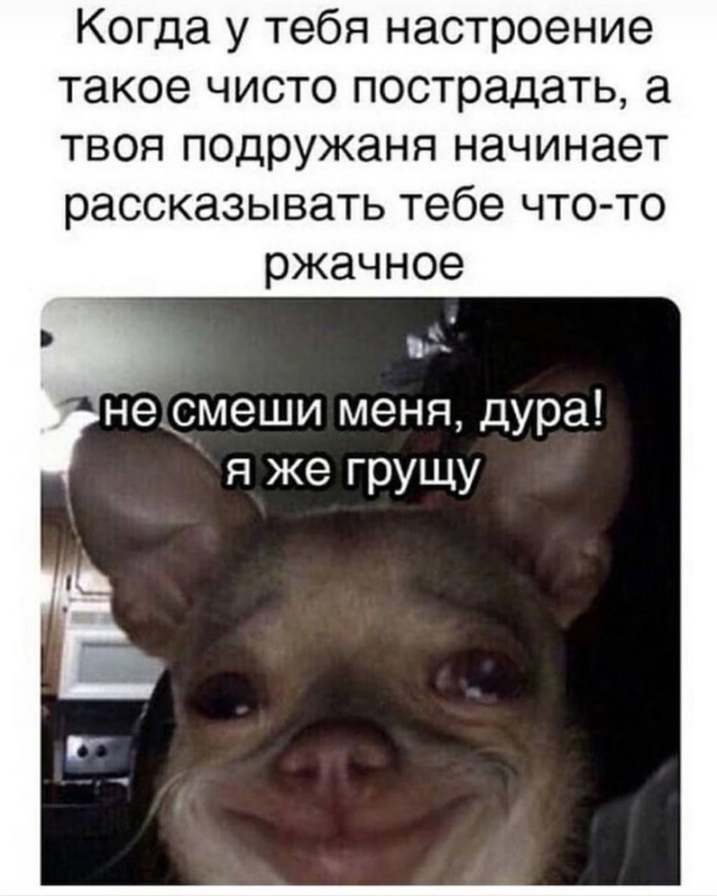 Когда у тебя настроение такое чисто пострадать, а твоя подружаня начинает рассказывать тебе что-то ржачное меня, дура! я же грущу 4