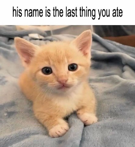 his name is the last thing you ate