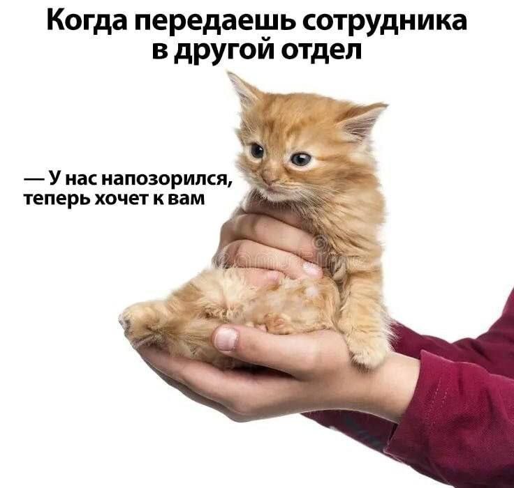 Когда передаешь сотрудника в другой отдел Унас напозорился, теперь хочет