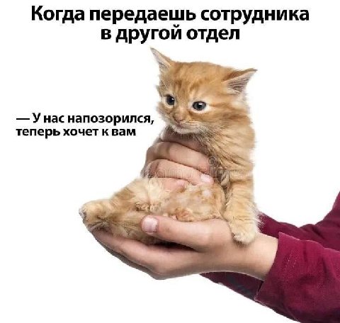 Когда передаешь сотрудника в другой отдел Унас напозорился, теперь хочет