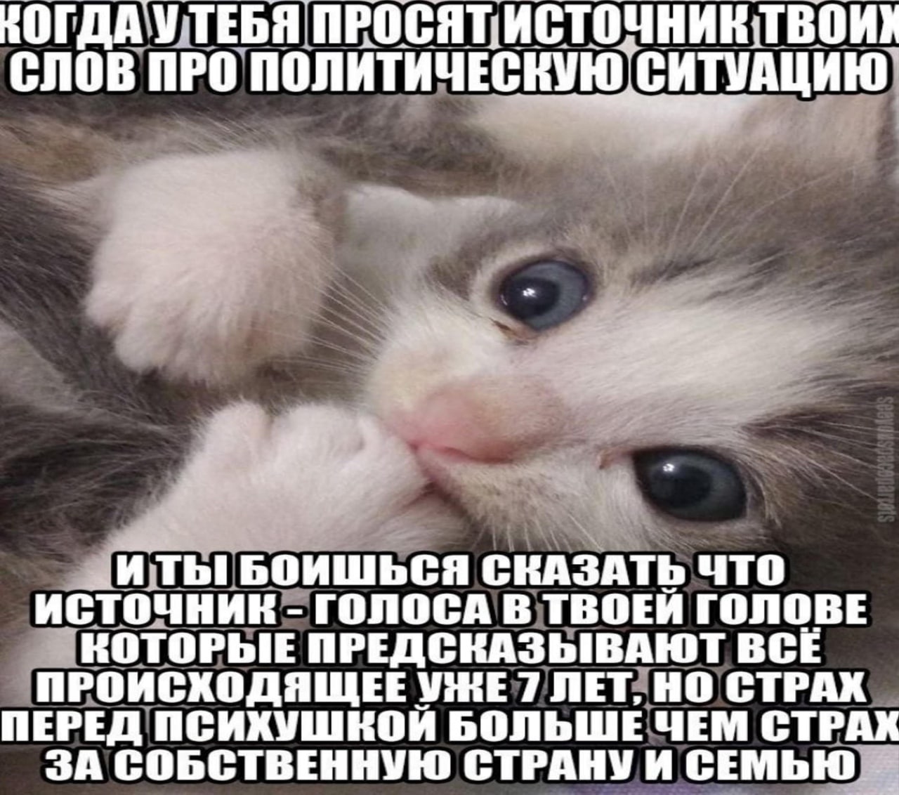 НОГДА УТЕБЯ СЛОВ ПРО ПОЛИТИЧЕСКУЮ СИТУАЦИЮ И БОИШЬСЯ СКАЗАТЬ ЧТО ИСТОЧНИК ГОЛОСА В ТВОЕИ ГОЛОВЕ КОТОРЫЕ ПРЕДСКАЗЫВАЮТ BCE ПРОИСХОДЯЩЕЕ УЖЕ 7 ЛЕТ, НО СТРАХ ПЕРЕД ПСИХУШКОЙ БОЛЬШЕ ЧЕМ СТРАХ ЗА СОБСТВЕНН