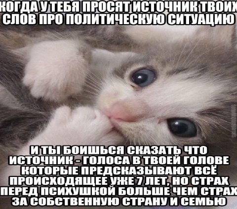 НОГДА УТЕБЯ СЛОВ ПРО ПОЛИТИЧЕСКУЮ СИТУАЦИЮ И БОИШЬСЯ СКАЗАТЬ ЧТО ИСТОЧНИК ГОЛОСА В ТВОЕИ ГОЛОВЕ КОТОРЫЕ ПРЕДСКАЗЫВАЮТ BCE ПРОИСХОДЯЩЕЕ УЖЕ 7 ЛЕТ, НО СТРАХ ПЕРЕД ПСИХУШКОЙ БОЛЬШЕ ЧЕМ СТРАХ ЗА СОБСТВЕНН